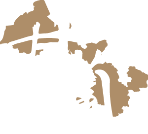 甘蘭飲食
